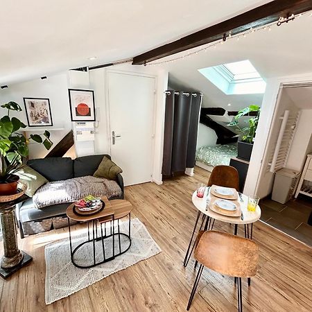 Loft Hortensia Hyper Centre Castres Castres  Eksteriør billede