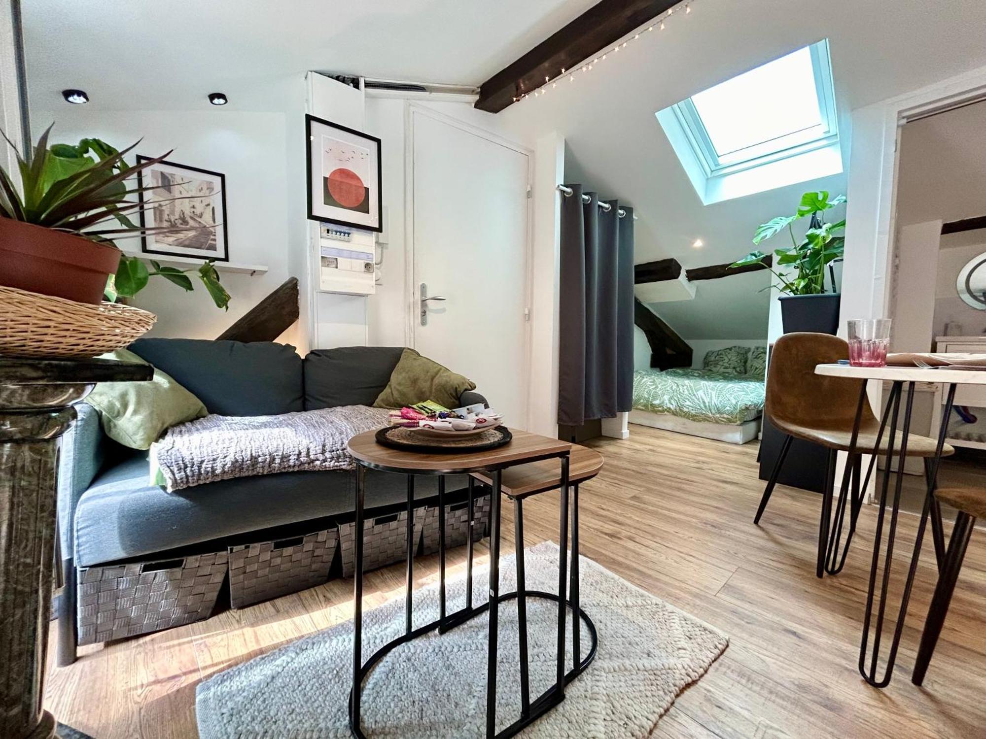 Loft Hortensia Hyper Centre Castres Castres  Eksteriør billede