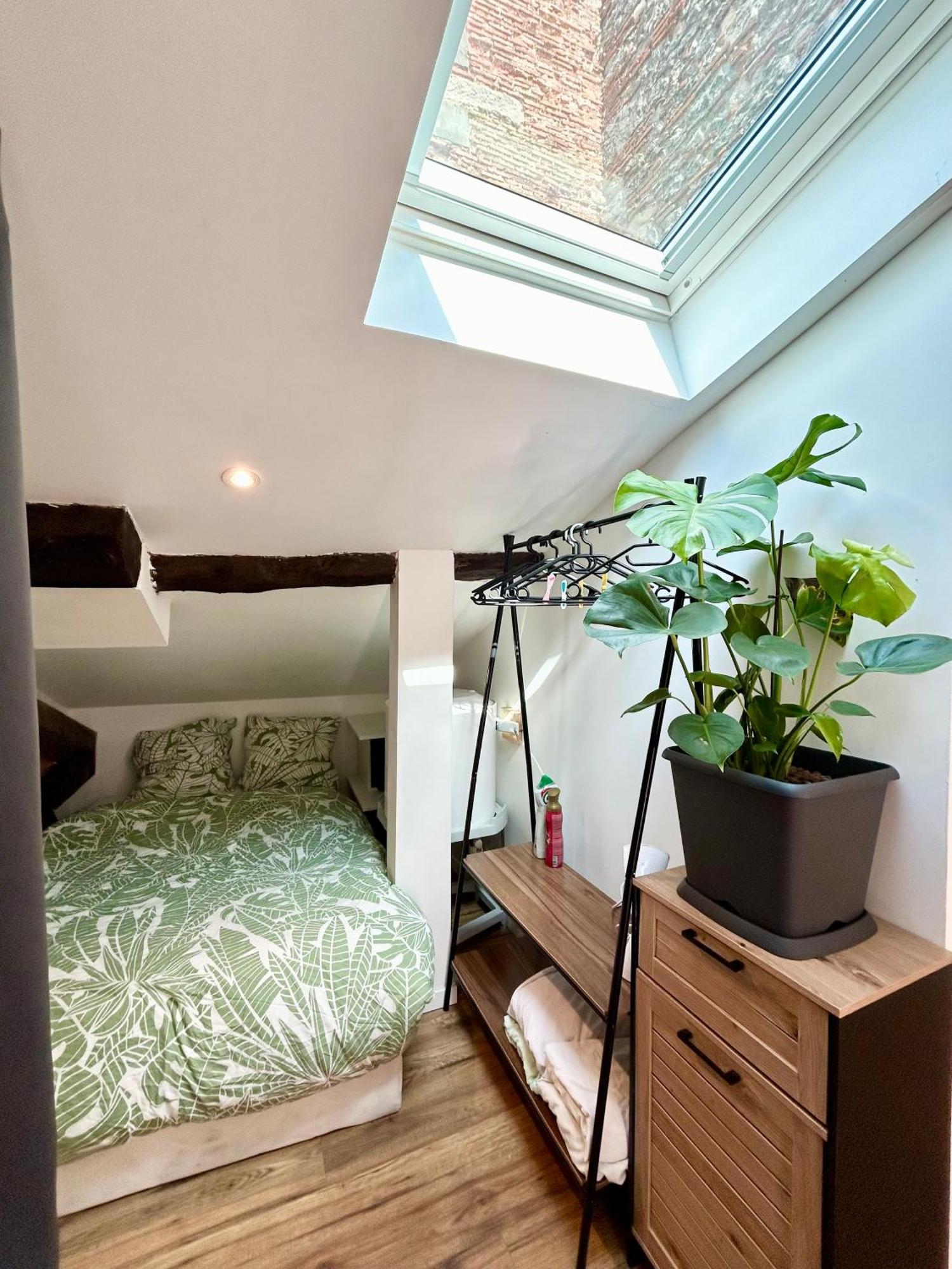 Loft Hortensia Hyper Centre Castres Castres  Eksteriør billede